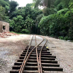 Le train d'infrastructure ferroviaire en Chine utilise le branchement <span class=keywords><strong>de</strong></span> commutateur <span class=keywords><strong>de</strong></span> grenouille <span class=keywords><strong>à</strong></span> <span class=keywords><strong>vendre</strong></span> - Product Image 3