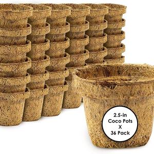 Maceta de Fibra de Coco para Plantas, Jardín y Flores, Canadá, Estados Unidos - Product Image 4