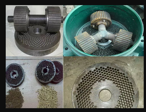 Machines de traitement des coques de riz, des tiges de coton, des déchets végétaux, des <span class=keywords><strong>granulés</strong></span> de bois, machine à <span class=keywords><strong>granulés</strong></span> d'aliments pour animaux - Product Image 6