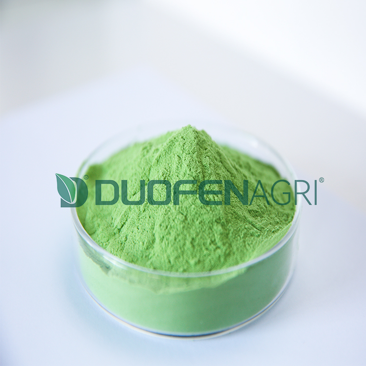 Wholesale Soluble Seaweed Powder Organic Fertilizer image 3