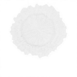 Lot de 50 Assiettes de Présentation Durables en Plastique PP Transparent 13'' avec Bord Doré Motif Floral Corail Design Moderne Classique pour Mariage et Réceptions - Product Image 2