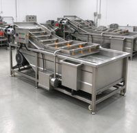 Machine à laver les légumes entièrement automatique en acier inoxydable SUS304, idéale pour laver les tomates, les pommes de terre et les légumes à feuilles.