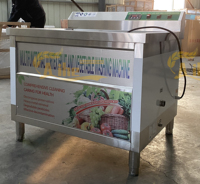 Automatische Vortex Fruit- en Groentewasmachine voor Centrale Keukenverwerking
