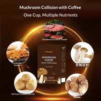 Café aux champignons sans sucre, sachet de 200 g, poudre de café instantanée