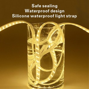 <span class=keywords><strong>Dalux</strong></span> Dual Row 2835 Tira de luces LED DC12V 4000K 480LEDs/M IP68 Impermeable Flexible Cobre Control remoto Interruptor Modo Paisaje - Product Image 3