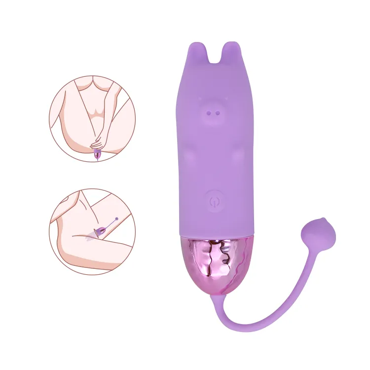 Best-selling cute pig vibratory egg multi-band wireless remote control 20-frequency vibration USB rechargeable sex toy