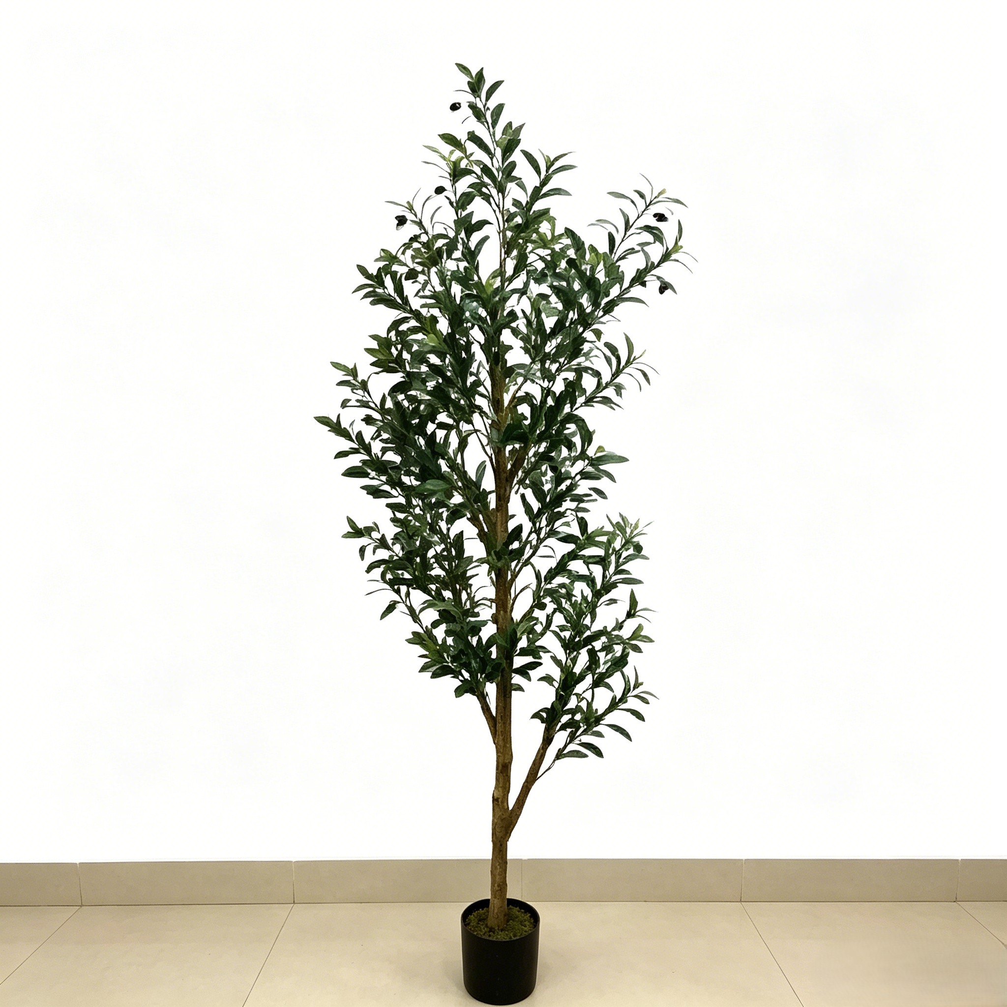 Verde