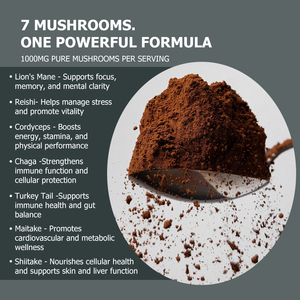 Premium Potency 7 in 1 Organic Mushroom Powder Cordyceps militaris Immunity Gut Heart Support Multi Mushroom Daily Wellness - Product Image 5
