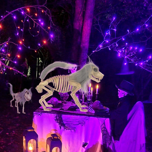 Decoración de Halloween: Esqueleto de Plástico de Perro con Crin para Casa Embrujada, Cementerio, Decoración de Fiesta Temática de Huesos de Perro - Product Image 5