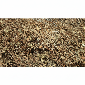 Feuilles de gelée d'herbe noire séchées de haute qualité meilleur prix matière première directement de l'emballage en vrac du Vietnam - Product Image 1