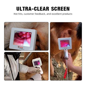 nouvel équipement de moniteur <span class=keywords><strong>d</strong></span>'instrument vétérinaire EV-12H moniteur <span class=keywords><strong>d</strong></span>'hôpital pour animaux vétérinaires pour <span class=keywords><strong>chien</strong></span> de chat - Product Image 1