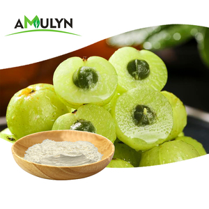 Thiên nhiên Amla bột trái cây <span class=keywords><strong>phyllanthus</strong></span> emblica chiết xuất Amla chiết xuất từ quả bột - Product Image 1