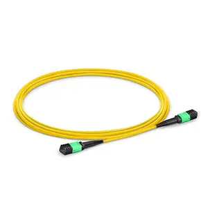 MPO-MPO/APC Single Mode 9/125 Fiber Patch Cord 1meter 12 Core LSZH Fiber Patch Cord