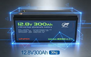 Batteria Lifepo4 12v 24v 300ah 50ah 100ah 200ah 400ah 500ah 600ah con 5 Anni di Garanzia per Camper Solare 12 Volt Litio 300ah - Product Image 2