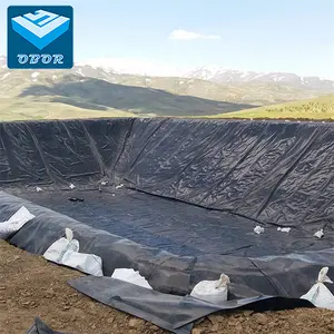 HDPE Geomembrane Dam Liners Price 0.5mm 0.75mm 1.0mm Free Sample For Fish Pond Water Harvesting Structure