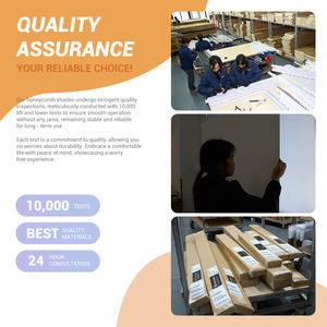 더블 시스템 스마트 롤러 블라인드 오피스 호텔용 원격 롤러 쉐이드가 있는 전동 암막 창 블라인드 제어 - Product Image 6