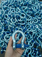 Shackle Baja Paduan Tempa G209 dengan Pin Sekrup untuk Tali Pengikat Ratchet PES Kapasitas Angkat 2500kg