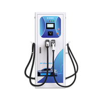 Borne de Recharge Rapide Commerciale Bluesky DC pour Véhicules Électriques 30-60KW, Station de Recharge sur Pied, Prise en Charge de Plusieurs Normes, Paiement par TPV