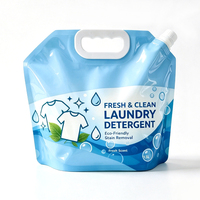 Pochette souple personnalisée avec logo pour détergent à lessive, avec bec verseur et poignée Flexiloop, sac d'emballage liquide avec bouchon