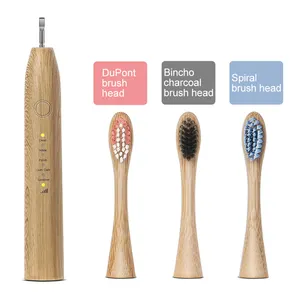 Tête de brosse à dents électrique biodégradables, certification CE, brosse à dents électrique en bambou