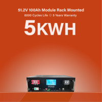 Baterai Lithium Semi-solid State LiFePO4 51.2V 100Ah untuk Penyimpanan Energi Surya Rumah Tangga Bluetooth/CAN/RS232/RS485/WiFi Casing Logam