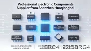 1-100 pièces SRC4192IDBRG4 Nouveau convertisseur de fréquence d'échantillonnage IC d'origine 28SSOP - Product Image 4