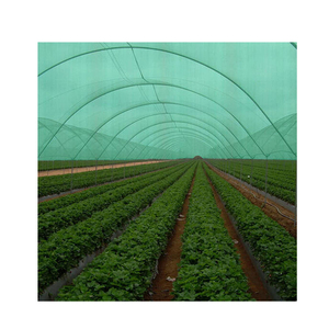 Nông nghiệp Thổ Nhĩ Kỳ nhà kính màu xanh lá cây Shade <span class=keywords><strong>Net</strong></span> 50%, Shade Sails & nets cho bán buôn - Product Image 4