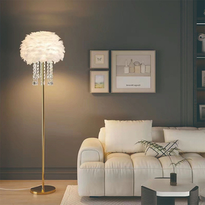 <span class=keywords><strong>Lampada</strong></span> da terra in piuma <span class=keywords><strong>con</strong></span> ciondolo in cristallo camera da letto da letto soggiorno luce decorazione di lusso atmosferica verticale <span class=keywords><strong>lampada</strong></span> da terra - Product Image 1