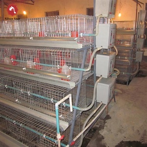 Thiết kế gà mái đẻ brooding gà choai lồng - Product Image 3