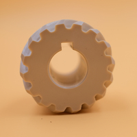 Engranaje Helicoidal PEEK D20-D80 de Alto Torque, Mecanizado por CNC para Accionamientos Industriales