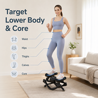Mini Stepper d'Exercice BNcompany TBJ-001 Cardio Twister en Acier pour Cardio-training