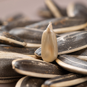 Snack séché sans additif grillé à haute température <span class=keywords><strong>de</strong></span> grandes graines <span class=keywords><strong>de</strong></span> <span class=keywords><strong>tournesol</strong></span> crues <span class=keywords><strong>de</strong></span> qualité supérieure - Product Image 5