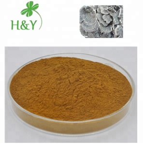 Polvo <span class=keywords><strong>de</strong></span> extracto <span class=keywords><strong>de</strong></span> cola <span class=keywords><strong>de</strong></span> pavo natural puro precio al por mayor polvo <span class=keywords><strong>de</strong></span> hongo Coriolus <span class=keywords><strong>Versicolor</strong></span> - Product Image 3