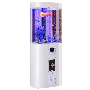 Modern middelgroot acryl <span class=keywords><strong>aquarium</strong></span> met bodemfilter voor tropische kleine huisvissen, geen waterverversing nodig, geschikt voor de woonkamer - Product Image 4