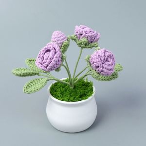 Macetas de Flores Tejidas a Crochet Hechas a Mano para Plantas Pequeñas, Ramo Tejido, Decoración del Hogar, Venta al por Mayor para Graduación y Día de la Madre - Product Image 5