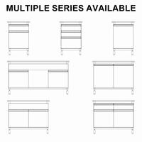 Banc mural robuste pour fabricants avec plans de travail de qualité laboratoire, mobilier de laboratoire mobile en acier pour la chimie