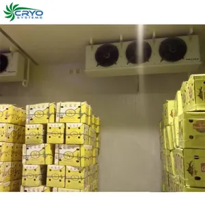 新鲜柠檬冷冻芒果小冷库项目成本冷藏花新加坡商业冷藏室