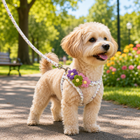 Ensemble collier et laisse tressés à la main pour chien, avec jolie décoration florale au crochet, kit de traction réglable pour chiens de petite et moyenne taille