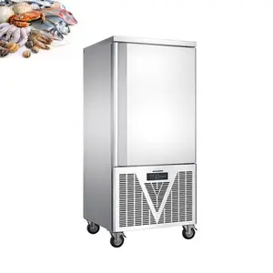 Small Shock Freezer Air Cooling Accurate Temperature Control for Quick Freezing Blast Freezer Price