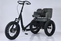 Venta de Fábrica en China: Triciclo Eléctrico para Adultos DAURADA ET-C01, Triciclo de Carga con Batería de Litio, Capacidad de Carga de 200 kg, Aleación de Aluminio
