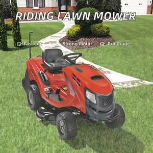 Tondeuse autoportée industrielle 2 temps 125cc à essence de haute qualité avec bac de ramassage, hauteur de coupe maximale 4 m, vitesse avant 8,8 km/h - Product Image 2