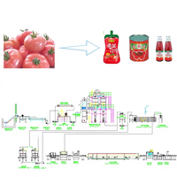 RVS Multifunctionele Voedselsterilisator Fruit Ketchup Saus Automatische Tomatenpuree Apparatuur 0.5T/H-50T/H Capaciteit