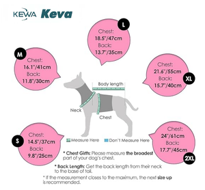 Traje de Nieve Rojo para Perro, Impermeable/Resistente al Viento con Patas, MOQ 200, Color/Logotipo Personalizado - Product Image 4