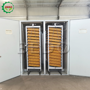 완전 자동 치킨 인큐베이터 부화 계란 기계 다기능 계란 인큐베이터 - Product Image 4