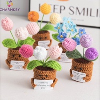 Mini pot de fleurs en crochet inspirant, jouet en crochet positif, pot de fleurs en crochet avec cartes positives