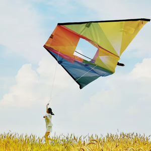 In-stock Instant Shipping Flat <strong>Kite</strong> Children Flying <strong>Kite</strong> Outdoor Toys Garden Toys For Kids Gift - Product Image 2