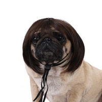 Perruque de cosplay personnalisée pour animaux de compagnie, perruque ajustable, accessoire de costume amusant pour animaux, déguisement pour animaux