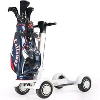 Carrito de Golf Eléctrico Plegable Eswing de 4 Ruedas y 2000W, 21 Años de Experiencia, Fabricante Chino, Agente de Dropshipping con Almacén en el Extranjero