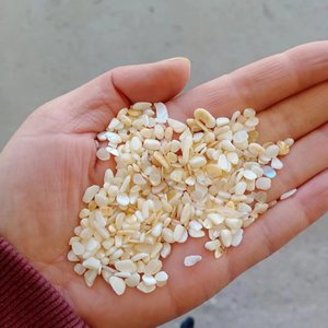 Conchas Marinas Trituradas Pequeñas de Tacto Real Seastar, Forma Natural, para Rellenar Jarrones de Boda, Decoración del Hogar y Decoración de Fiestas - Product Image 1