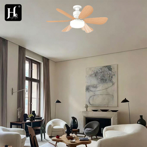 Nueva lámpara de ventilador en espiral, de bajo consumo para dormitorios y cocinas, ventilador de techo integrado para luces de techo de dormitorios. - Product Image 6